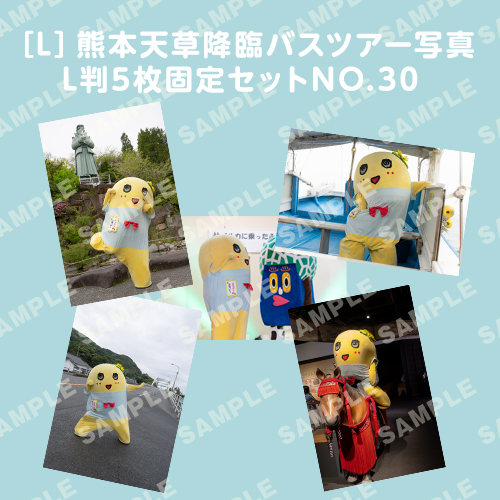 「イルカに乗ったふなっしーと行く！熊本天草降臨バスツアー！」L判5枚セットNO.30