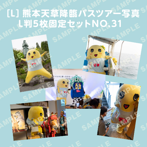 「イルカに乗ったふなっしーと行く！熊本天草降臨バスツアー！」L判5枚セットNO.31