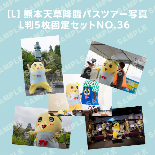 「イルカに乗ったふなっしーと行く！熊本天草降臨バスツアー！」L判5枚セットNO.36