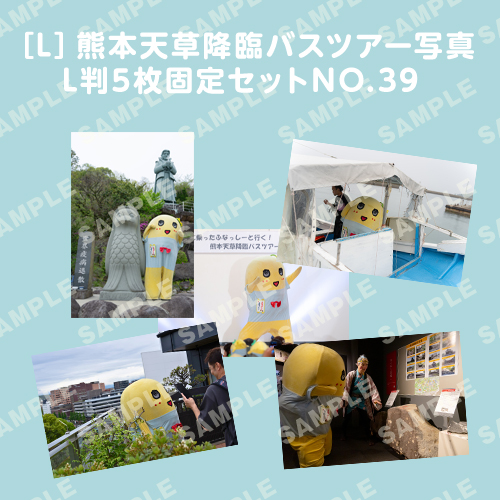 「イルカに乗ったふなっしーと行く！熊本天草降臨バスツアー！」L判5枚セットNO.39