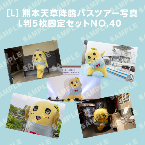 「イルカに乗ったふなっしーと行く！熊本天草降臨バスツアー！」L判5枚セットNO.40