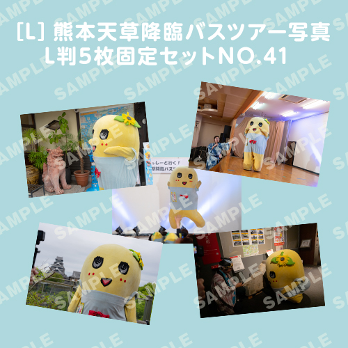 「イルカに乗ったふなっしーと行く！熊本天草降臨バスツアー！」L判5枚セットNO.41