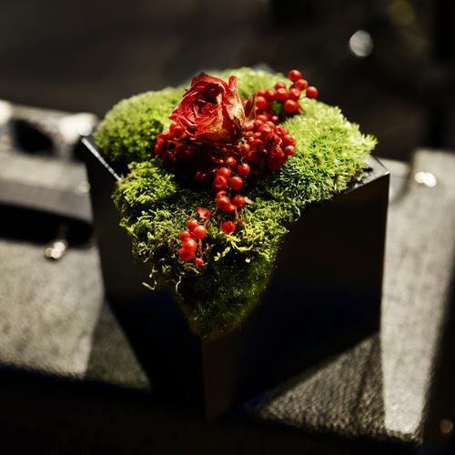 吉井和哉×BITO プリザーブドフラワー “STRONGER”