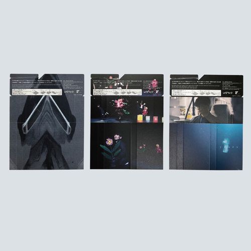 めいしばこ sakanaction ver.  -VISUAL LIVE SESSION-