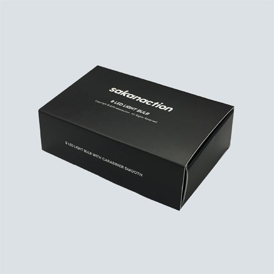 sakanaction FLASH LIGHT