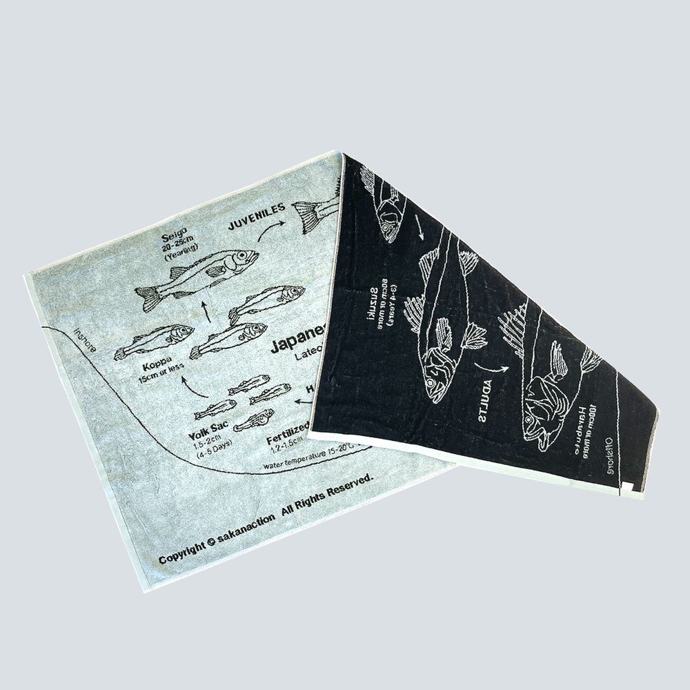 Japanese sea bass Life Cycle BIG TOWEL