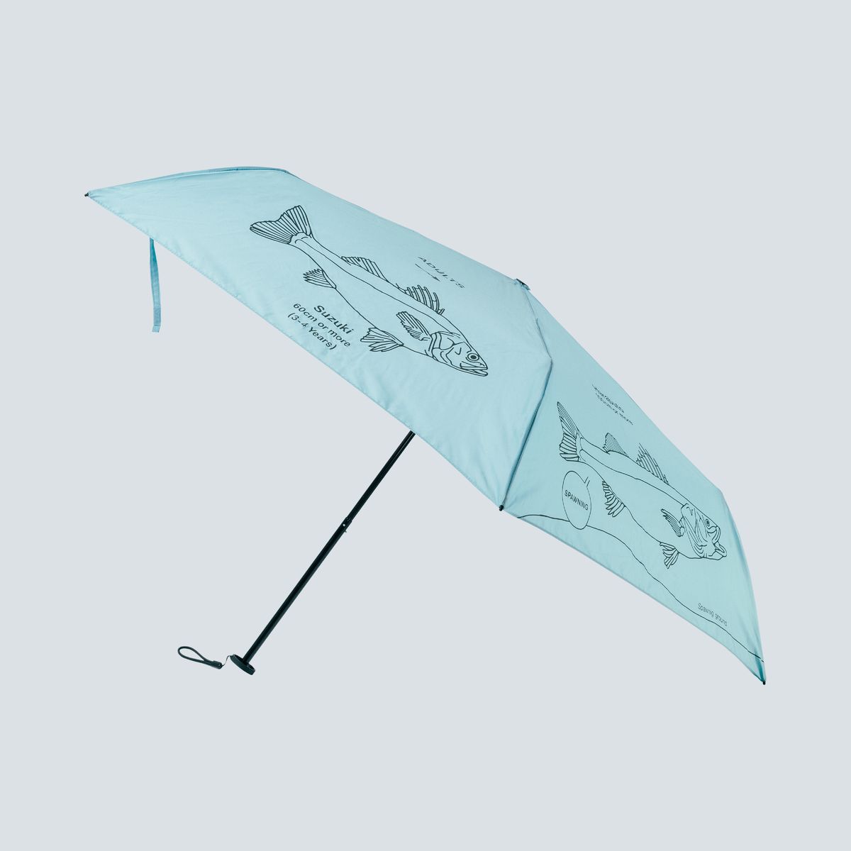 商品詳細ページ | sakanaction ONLINE STORE | SUPER LIGHT FOLDING