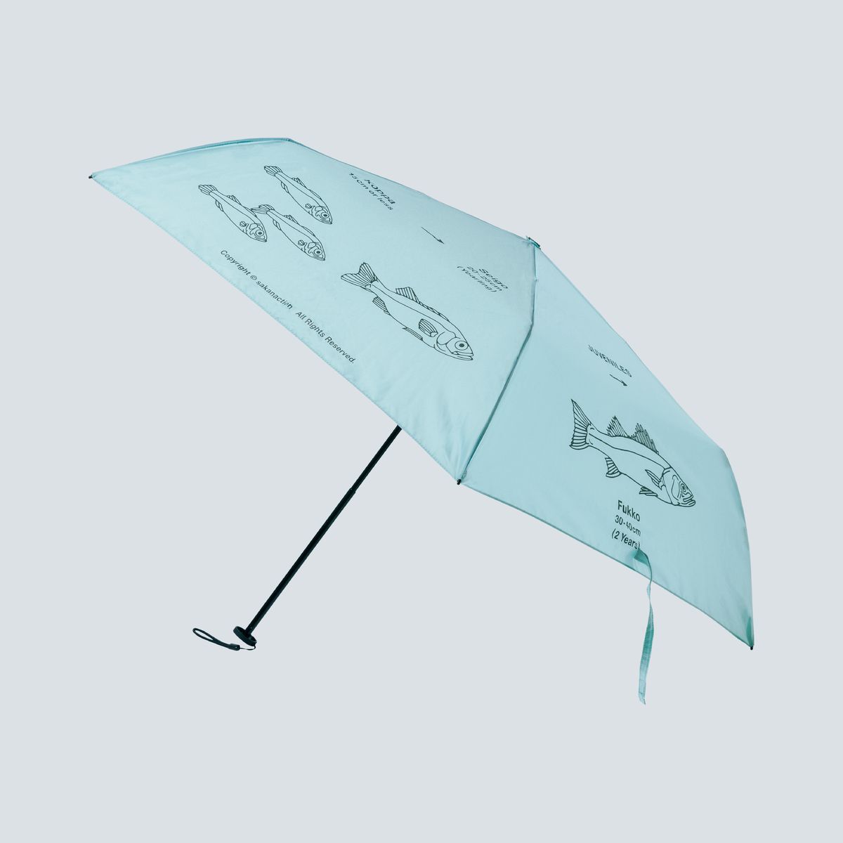 SUPER LIGHT FOLDING UMBRELLA “Japanese sea bass Life Cycle”