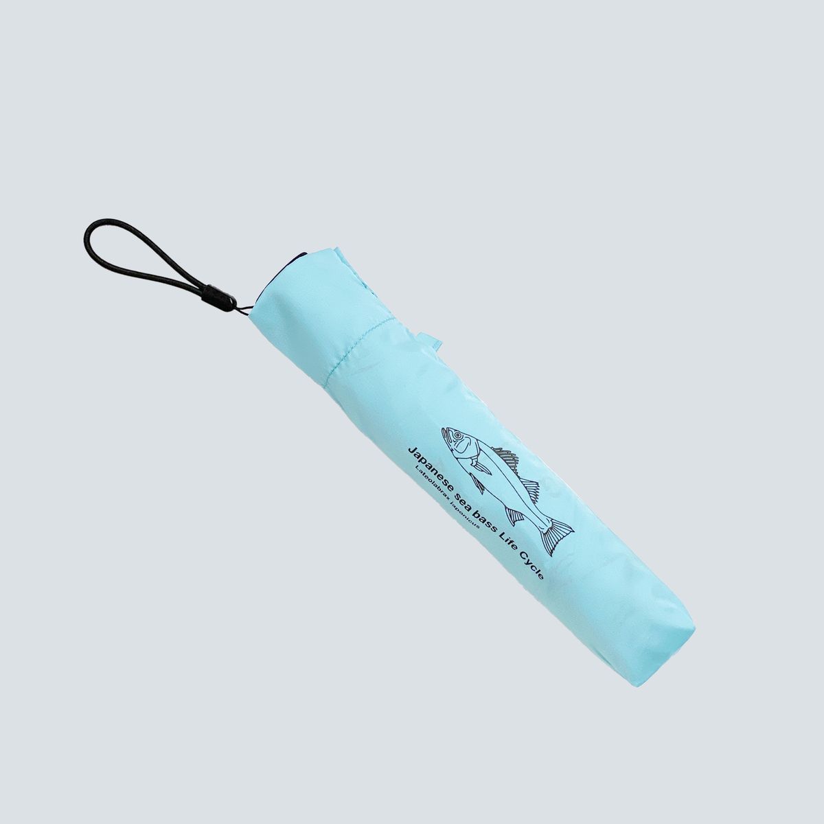 SUPER LIGHT FOLDING UMBRELLA “Japanese sea bass Life Cycle”