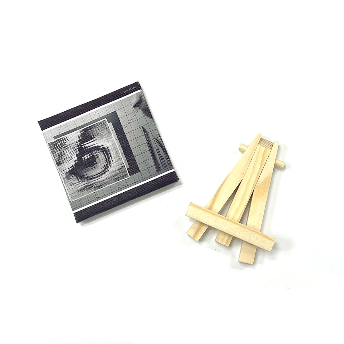 sakanaction COLLECTIVE MINI CANVAS