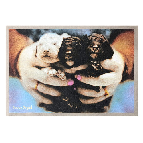 【4】古着風フォトロンT/カーキベージュ