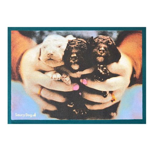 古着風フォトロンT/ターコイズ