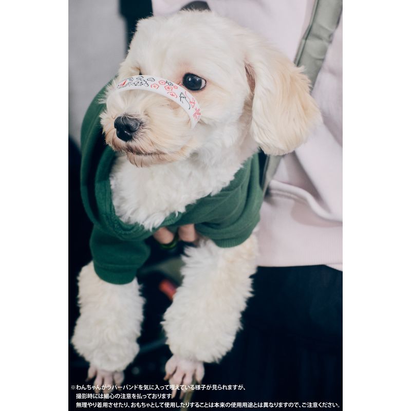 【10】一富士、二犬、三茄子 ラバーバンド