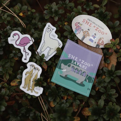 フレークステッカーセット