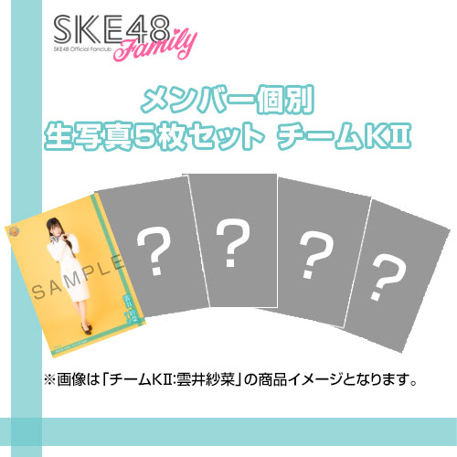 【SKE48 Family会員限定】Vol.12 B-Type メンバー個別生写真セット チームKII