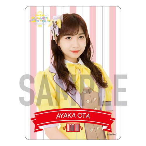 Summer Zepp Tour 2022クリアトレーディングカード　TEAM KII(ランダム全17種+特別仕様)