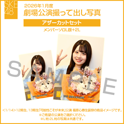 2026年1月度 劇場公演撮って出し写真 アザーカットセット(メンバーソロL版＋2L)