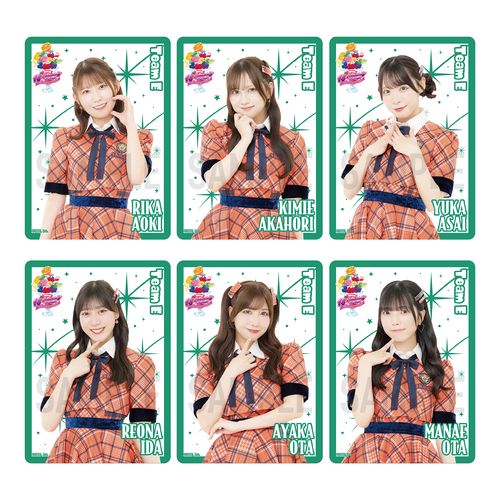 【チームE】SKE48 18th Anniversary Festival 2026 クリアトレーディングカード（ランダム全13種+特別仕様13種）