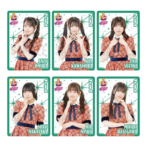 【チームE】SKE48 18th Anniversary Festival 2026 クリアトレーディングカード（ランダム全13種+特別仕様13種）