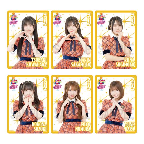 【チームS】SKE48 18th Anniversary Festival 2026 クリアトレーディングカード（ランダム全15種+特別仕様15種）