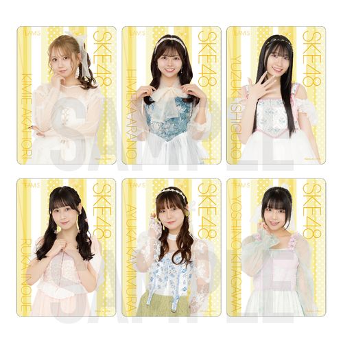 SKE48 32nd SG「愛のホログラム」チーム別クリアトレーディングカード（ランダム全12種+特別仕様12種）【チームS】