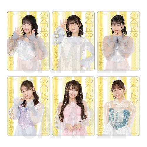 SKE48 32nd SG「愛のホログラム」チーム別クリアトレーディングカード（ランダム全12種+特別仕様12種）【チームS】