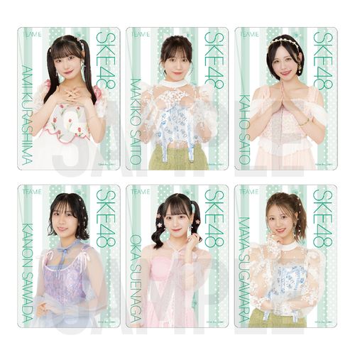 SKE48 32nd SG「愛のホログラム」チーム別クリアトレーディングカード（ランダム全15種+特別仕様15種）【チームE】