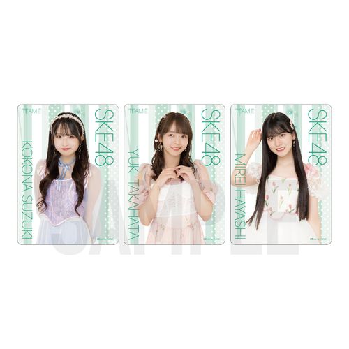 SKE48 32nd SG「愛のホログラム」チーム別クリアトレーディングカード（ランダム全15種+特別仕様15種）【チームE】