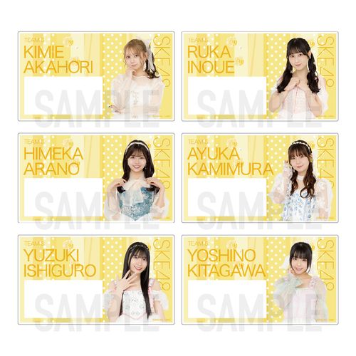 SKE48 32nd SG「愛のホログラム」チーム別ネームプレート（ランダム全12種）【チームS】