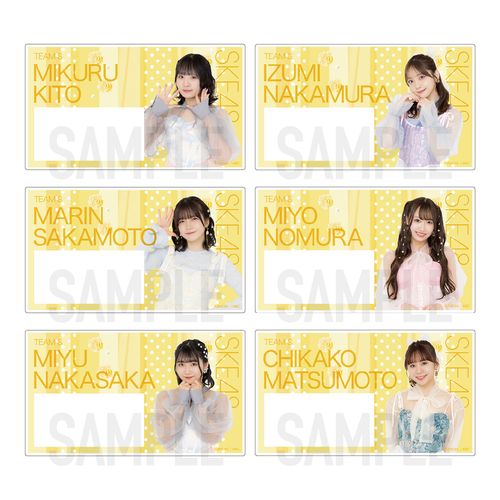 SKE48 32nd SG「愛のホログラム」チーム別ネームプレート（ランダム全12種）【チームS】