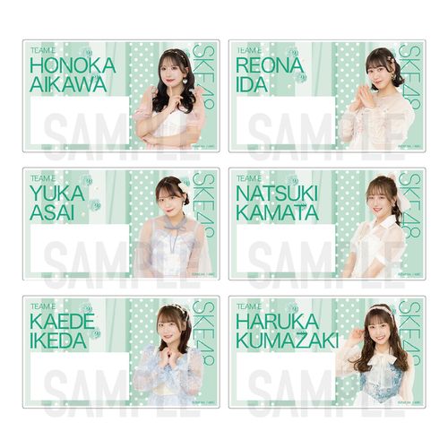 SKE48 32nd SG「愛のホログラム」チーム別ネームプレート（ランダム全15種）【チームE】