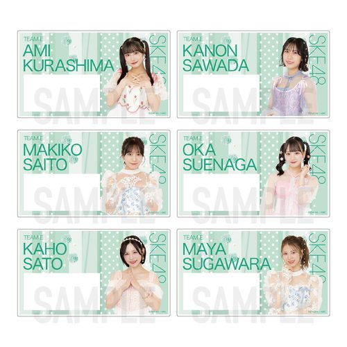 SKE48 32nd SG「愛のホログラム」チーム別ネームプレート（ランダム全15種）【チームE】