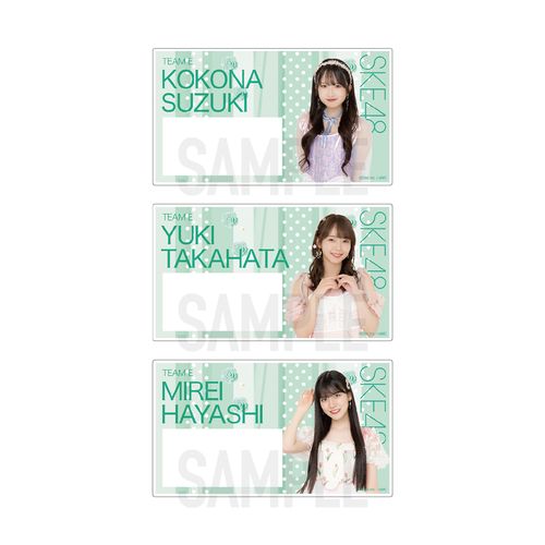 SKE48 32nd SG「愛のホログラム」チーム別ネームプレート（ランダム全15種）【チームE】