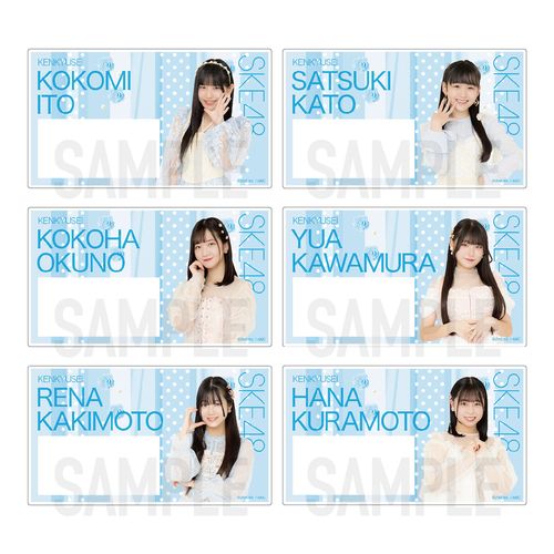 SKE48 32nd SG「愛のホログラム」チーム別ネームプレート（ランダム全17種）【研究生】