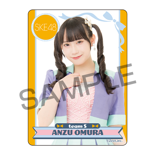 シャッフル公演クリアトレーディングカード チームS「時間がない」公演（15名×2種30種）