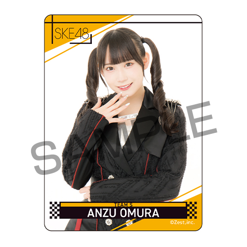 シャッフル公演クリアトレーディングカード チームS「時間がない」公演（15名×2種30種）