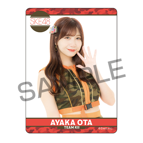 シャッフル公演クリアトレーディングカード チームKII「愛を君に、愛を僕に」公演（11名×2種22種）