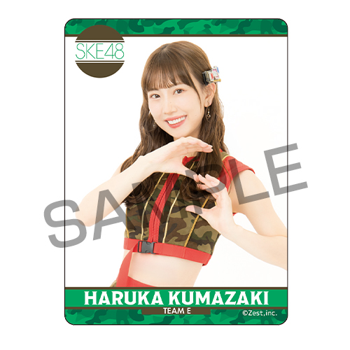 シャッフル公演クリアトレーディングカード チームE「愛を君に、愛を僕に」公演（14名×2種 28種）