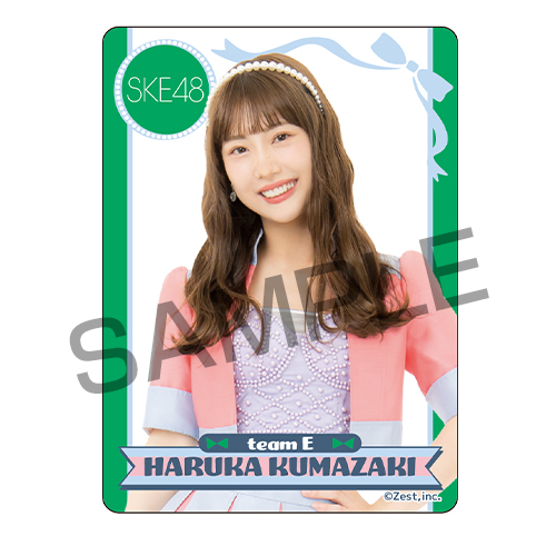 シャッフル公演クリアトレーディングカード チームE「時間がない」公演（14名×2種 28種）