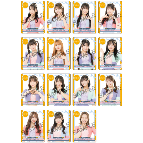 シャッフル公演クリアトレーディングカード チームS「時間がない」公演（15名×2種30種）