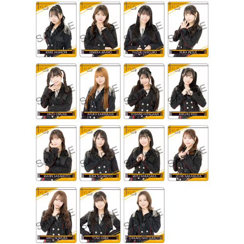 シャッフル公演クリアトレーディングカード チームS「時間がない」公演（15名×2種30種）