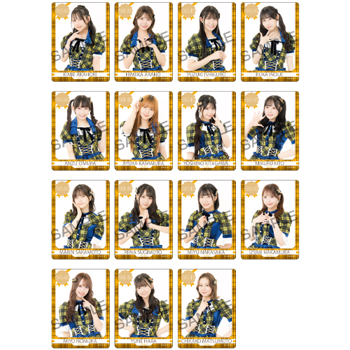 シャッフル公演クリアトレーディングカード チームS「声出していこーぜ!!!」公演（15名×2種30種）