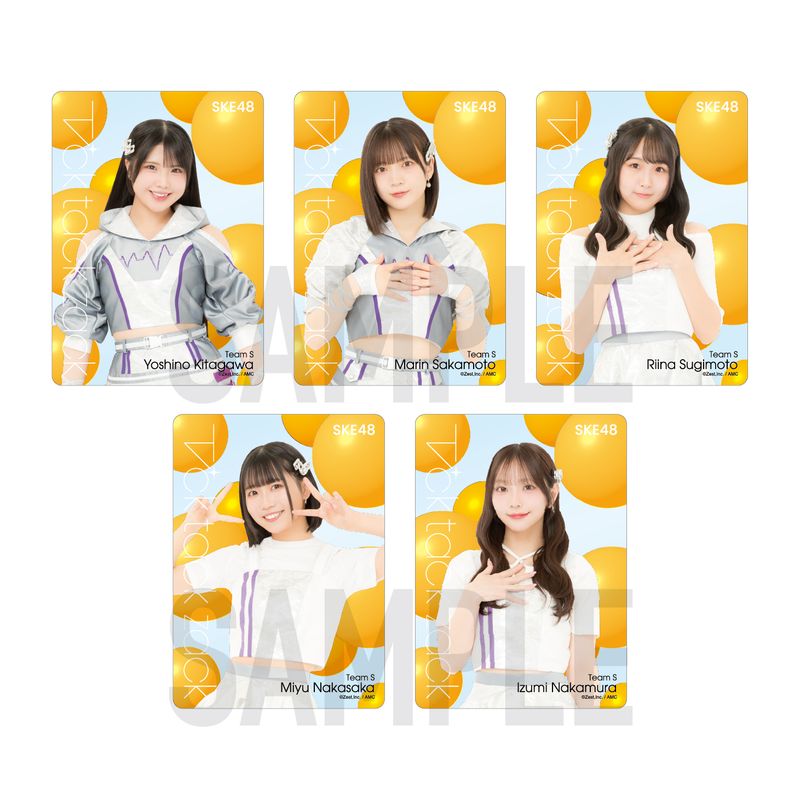 SKE48 34th SG「Tick tack zack」チーム別クリアトレーディングカード（ランダム全14種+特別仕様14種）【チームS】