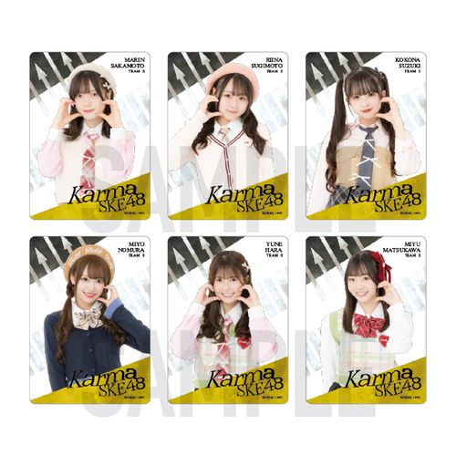 35th SG「Karma」チーム別クリアトレーディングカード（ランダム全13種+特別仕様13種）【チームS】