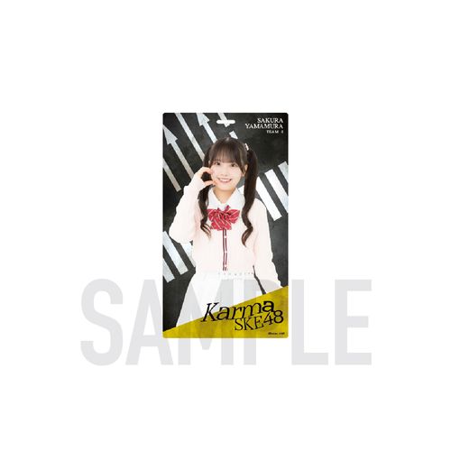 「Karma」マルチホルダー【チームS】