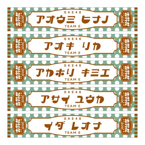 SKE48 真冬のTEAM歌謡祭　マフラータオル【チームE】