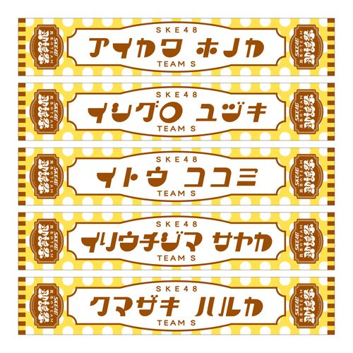 SKE48 真冬のTEAM歌謡祭　マフラータオル【チームS】