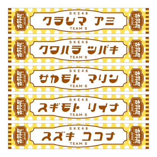SKE48 真冬のTEAM歌謡祭　マフラータオル【チームS】