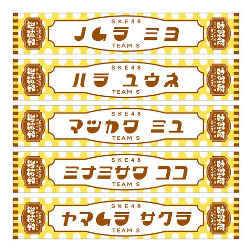 SKE48 真冬のTEAM歌謡祭　マフラータオル【チームS】