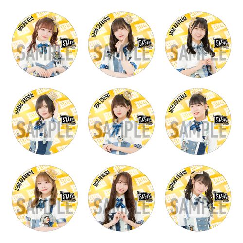 14周年記念チーム別缶バッジ(ランダム全19種+特別仕様19種)【チームS】